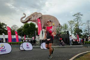 BIB: 
                            <button type="button" onclick="openModal(26528658)" class="btn btn-primary btn-sm float-right btn-popup" data-toggle="modal" data-target=".modal-high-quality">
                        <i class="fas fa-shopping-cart"></i> Add to Cart
                    </button>
                                            <button type="button" onclick="isThisMe(26528658, true)" class="btn btn-success btn-sm float-right btn-popup btn-isme hidden" data-toggle="tooltip" data-placement="bottom" title="นี่คือรูปของคุณใช่ไหม คลิกที่นี่เพื่อเอาเข้าอัลบั้ม">
                        <i class="fas fa-plus"></i> Add to album
                    </button>
                    <button type="button" onclick="isThisMe(26528658, false)" class="btn btn-warning btn-sm float-right btn-popup btn-isnotme hidden">
                        <i class="fas fa-ban"></i> Remove from album
                    </button>